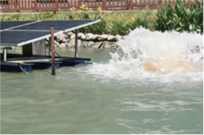 เครื่องเติมอากาศแบบสปริงพลังงานแสงอาทิตย์